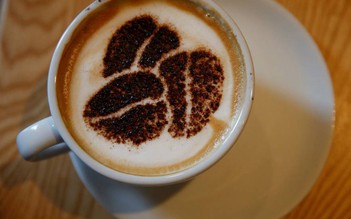 Thụy Sĩ cho rằng 'cà phê vô dụng' vì thiếu protein, chất béo...
