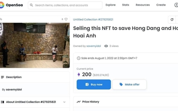 NFT chụp hai người nghi là nghệ sĩ Việt rao bán 200.000 USD