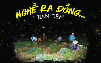 Nghề ra đồng… ban đêm