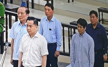 Xét xử vụ Vũ ‘nhôm’ thâu tóm đất công: Triệu tập hàng loạt doanh nghiệp bất động sản ra làm chứng