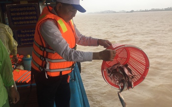 Thả hơn 14 tấn cá xuống sông Vàm Nao khi mùa nước nổi vẫn chưa về