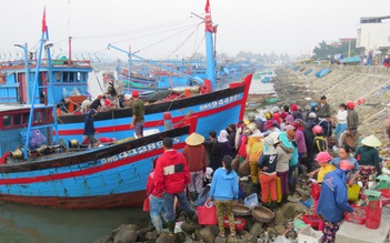 Ngư dân trúng đậm nhưng giá rớt thê thảm: 'Phải bán theo giá cá vụn'