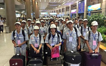 Lao động Việt 'mẫu mực' được quay trở lại Hàn Quốc sau 1 tháng về nước