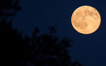 Kỳ thú: Siêu trăng, mưa sao băng cực đại cùng xuất hiện vào đêm rằm tháng 7
