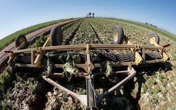 Mỹ dành 19 tỉ USD hỗ trợ nông dân và mua thực phẩm cho người nghèo