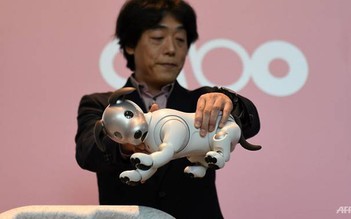 Sony tung chó con robot hỗ trợ AI ở Mỹ