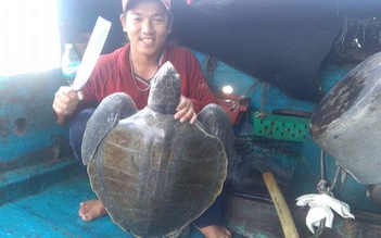 Giết rùa biển và khoe ảnh trên Facebook: Cộng đồng phẫn nộ