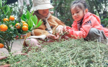 Nồi mùi già ngày tết đánh thức cả trời thương nhớ