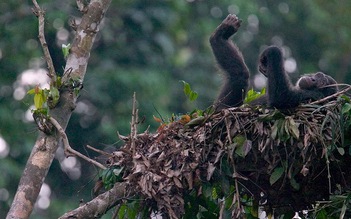 Chỗ nằm của tinh tinh còn sạch hơn giường giới tuổi teen