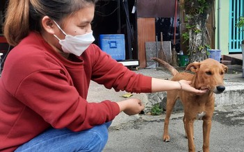 Tại sao Hội An cam kết loại bỏ tiêu thụ thịt chó?