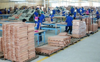 Nhiều doanh nghiệp xuất khẩu gỗ 'chốt' xong đơn hàng hết năm 2022