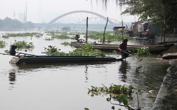 'Cá tặc' tung hoành ngày đưa ông Táo về trời