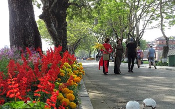 Huế tạm 'đóng cửa' di tích, danh thắng để phòng dịch Covid-19