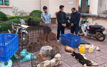 Tóm gọn nhóm mang súng bắn điện, hung khí từ Lâm Đồng qua Đắk Nông trộm chó