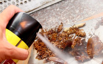 Thuốc xịt côn trùng làm tăng nguy cơ ung thư