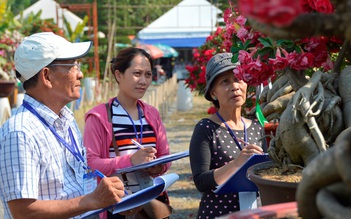 Hội chợ Hoa Xuân Phú Mỹ Hưng 2016: Tôn vinh nét đẹp ‘Hoa đồng cỏ nội’