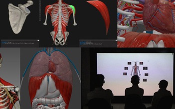 'Mô phỏng Thực tại Ảo' - Hướng đi mới trong học liệu Y khoa ở ĐH Duy Tân