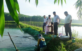 Hỗ trợ nông dân nuôi cá leo thương phẩm