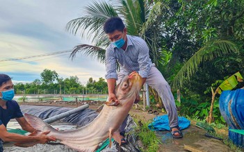 Lập trang trại nuôi cá quý hiếm, chàng trai 8X thu nhập tiền tỉ