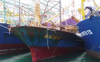 Lãnh đạo tỉnh Bình Định đề nghị truy tố công ty đóng tàu vỏ thép 'dỏm'