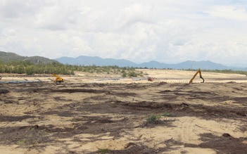 Dự án điện mặt trời lấn chiếm 5,26 ha rừng ở Bình Định: Xử phạt hành chính?