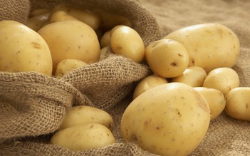 Khoai tây và những điều kỳ thú