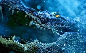 5 bộ phim về cá sấu ‘săn’ người đáng xem nhất trên màn ảnh