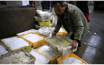 Trung Quốc phát hiện virus Corona trên bao bì hải sản