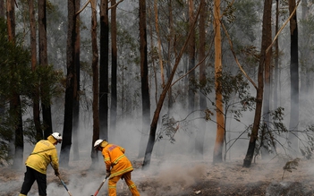 Cộng đồng game thủ kêu gọi các nhà phát hành game mở chiến dịch ủng hộ thảm họa cháy rừng ở Úc
