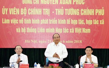 Hợp tác xã có sứ mệnh rất quan trọng trong quá trình hội nhập