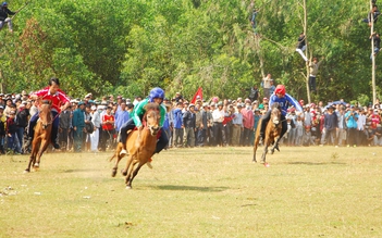 Vùng đất của tiếng vó ngựa