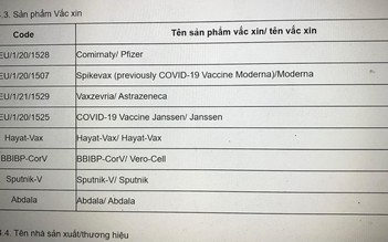 Tích cực đàm phán công nhận 'hộ chiếu vắc xin' với các nước