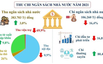 TP.HCM thu ngân sách hơn 383.000 tỉ đồng