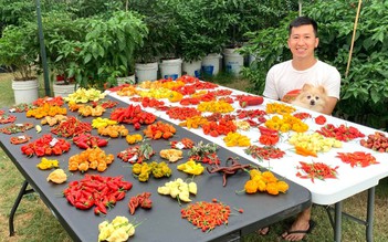 Choáng ngợp với chàng trai trồng hơn 500 loại ớt trong vườn nhà