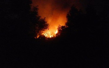 Cháy rừng dữ dội trong đêm