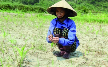Suối 'chết', ruộng đồng hoang hóa vì khai khoáng