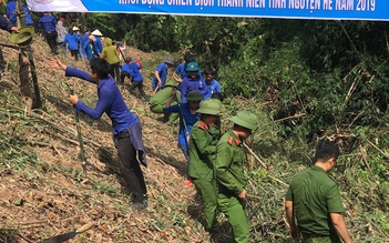 Tác phẩm 'Đường băng cản lửa phòng hộ cứu rừng' đạt giải nhất cuộc thi ảnh ứng phó biến đổi khí hậu