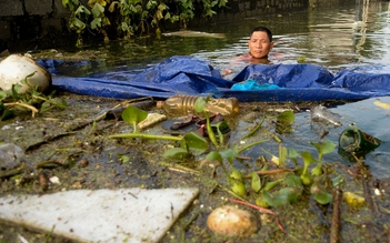 Người dân Hà Nội 'sống chung' với rác, gia cầm trong ngập lụt