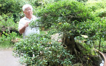 Tỉ phú nông dân Sài Gòn: Đưa hoa kiểng ra nước ngoài