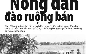 Nông dân đào ruộng bán - Mất hàng chục năm để phục hồi