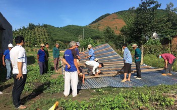 Lâm Đồng: Lốc xoáy làm tốc mái, gãy đổ nhiều cây trồng