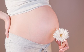 Tháng thứ mấy của thai kỳ thì nên bắt đầu dùng biện pháp chống rạn da?