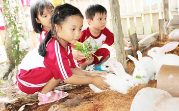 Cùng bé khám phá 'Funny Farm' tại trường Saigon Academy