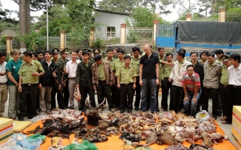 Rước họa vì ăn thịt 'lạ': Thú quý hiếm vào bàn nhậu 'đại gia'