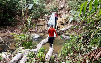 Những người đồng hành