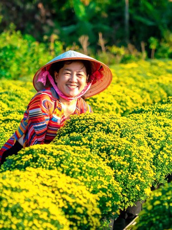 Bên trong làng hoa tết độc đáo nhất miền Tây