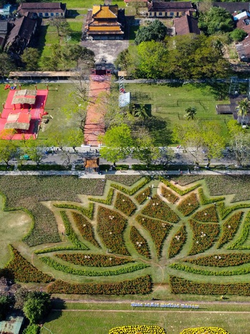 Ngắm đóa sen khổng lồ kết từ 50.000 chậu hoa khoe sắc bên kinh thành Huế