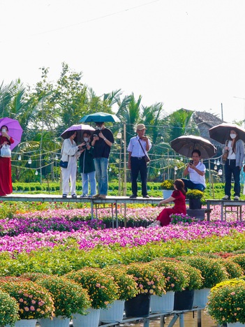 Du khách thích thú kỹ thuật trồng hoa 'không chạm đất' ở làng hoa Sa Đéc
