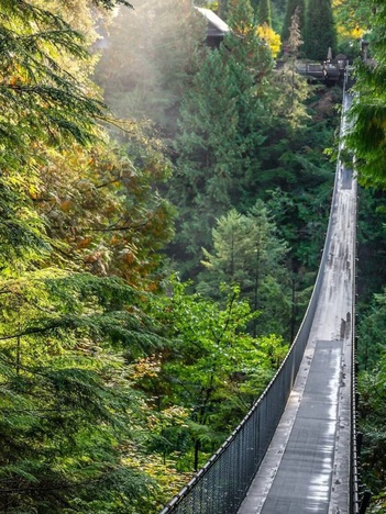 Cây cầu ở Việt Nam vào top 5 đẹp nhất thế giới