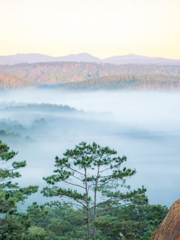 Đón bình minh, săn mây ở Măng Đen